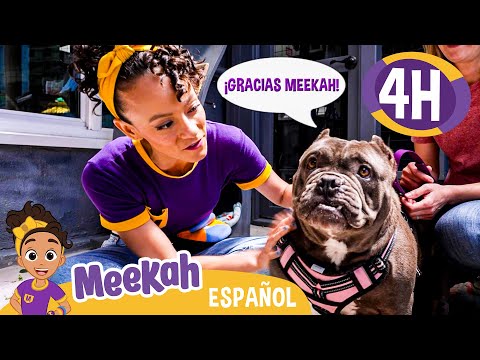 ¡Meekah pasa el tiempo con los animales | 💜¡Hola Meekah!💜Amigos de Blippi | Videos educativos