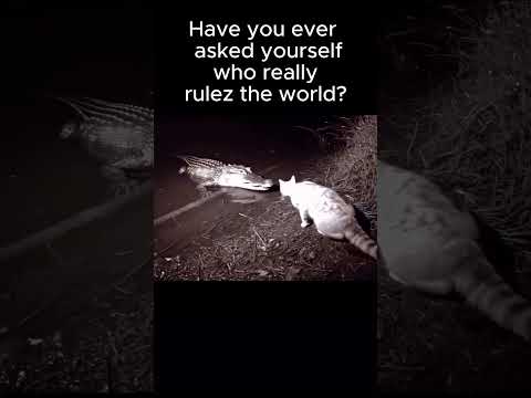 Ever wondered who really rules the world?