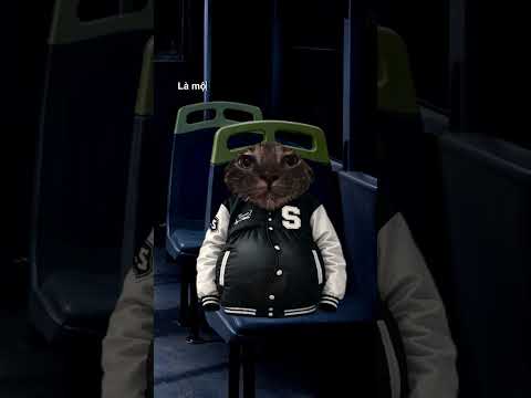 Chuyến Xe Buýt Kỳ Lạ phần 2 #funnycats #catmemes #memes