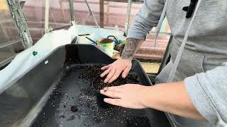 Potting and sowing and another year nearly over 🤩