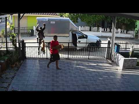 Delivery Man Has A Play-Break With Dog