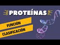 Cuestionario sobre Proteínas