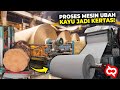 Paper Production Processes and Characteristics