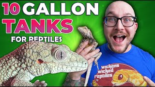 Reptiles YOU DIDN’T KNOW Could Live in a 10 Gallon Enclosure FOREVER!