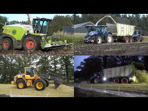 Mais hakselen en 2 kuilen maken - Loonbedrijf Grefelman met Claas Jaguar 950 en 2 Volvo L60 (2024)