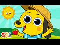 Berry Picking Activities and Counts