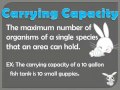 Exploring Limiting Factors and Carrying Capacity
