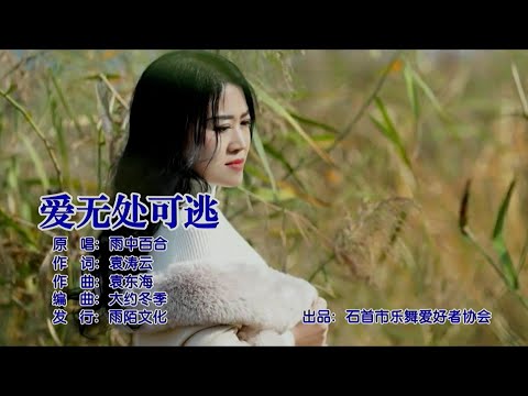 愛無處可逃-雨中百合-主唱 KARAOKE