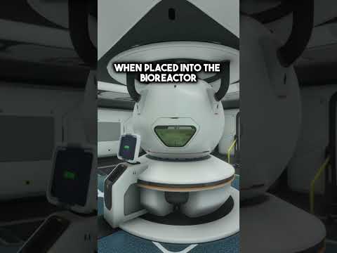 Even More Useless Subnautica Facts