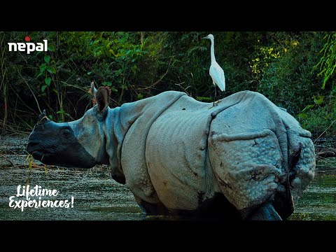 Bardiya| Nepal Tourism Board