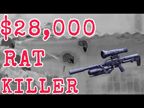 $28,000 Rat Shooting • RS75 • FX Impact • 100 kills