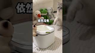 千万不要随便让猫拜拜公牛安全快充插座  公牛小电舱  排插