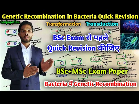 Genetic Recombination in Bacteria Quick Revision || BSc and MSc Exam paper revision series