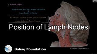 Position of Lymph Nodes