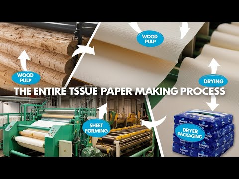 Behind the Scenes: The Tissue Paper Factory