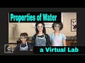 Properties of Water and Interactions