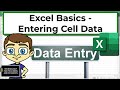 Excel Data Management Techniques