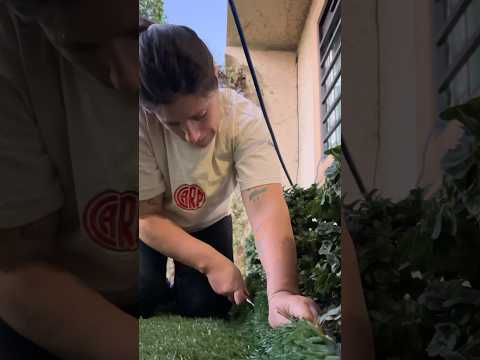🌿Puse pasto sintético en mi casa