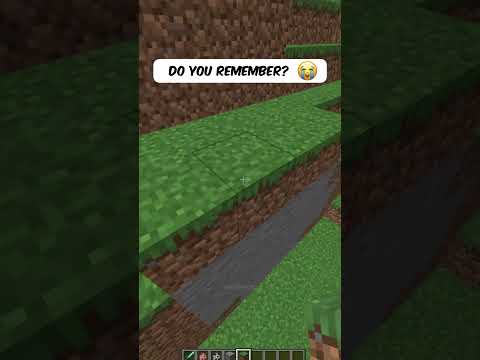 Do You Remember.. 🥺 #shorts #minecraft