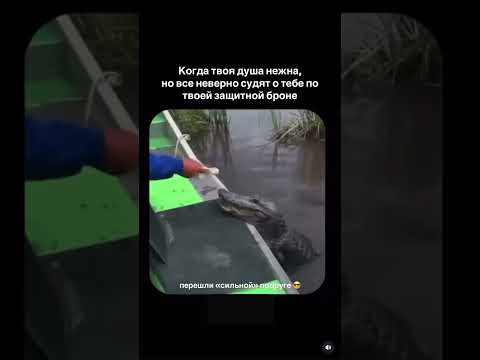 Слова профессионального психолога #психология #семья