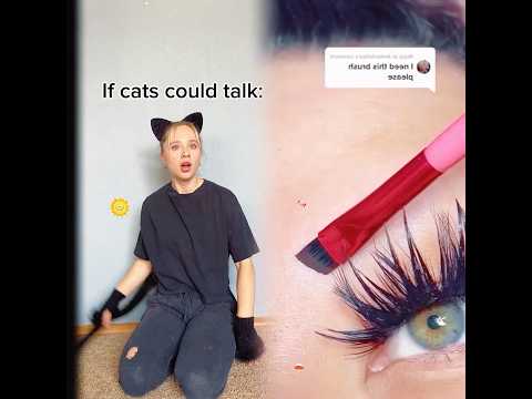 If cats could talk pt. 2