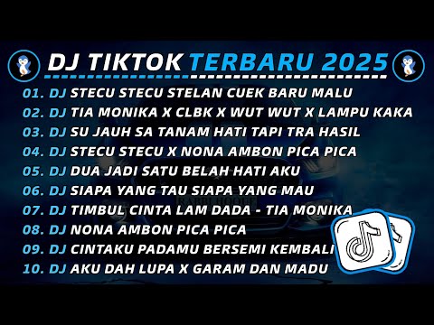 DJ TIKTOK TERBARU 2025 🎧 DJ STECU STECU STELAN CUEK BARU MALU 🎵 DJ TIA MONIKA X CLBK X WUT WUT VIRAL