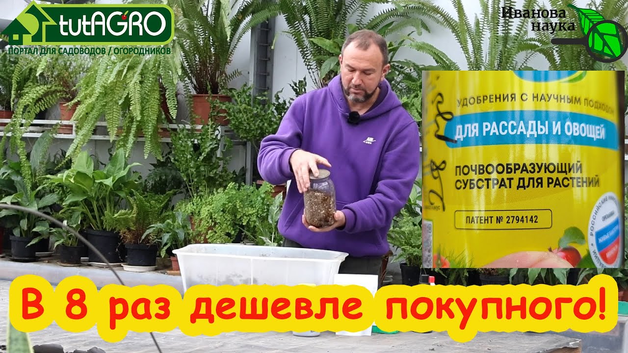 Супер удобрение домашний цимус: в 8 раз дешевле своими руками и в 100 раз лучше!