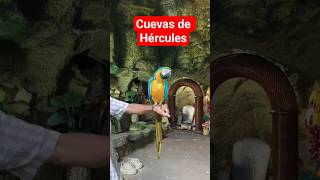 Cuevas de Hércules