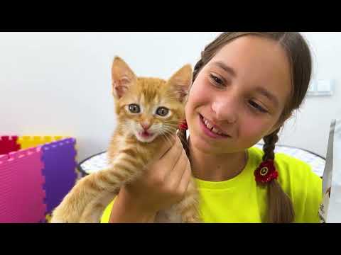 Sofia play with kittens and wants to be a babysitter for them