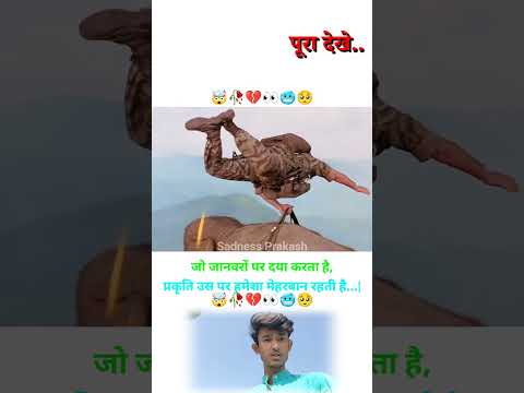 जो जानवरों पर दया करता है, प्रकृति उस पर हमेशा मेहरबान रहती है 👀🥀💔🥺 |MOTIVATIONAL VIDEO #trending