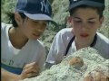 Fossils and Their Stories