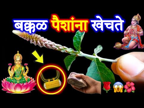 अपार धन💰सुख-समृद्धी प्राप्त होईल फुटके नशीब चमकवेल दुर्भाग्य भाग्यात बदलेल,जाणुन घ्या!!