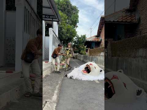 Dikira can macanan mati ternyata bisa gigit