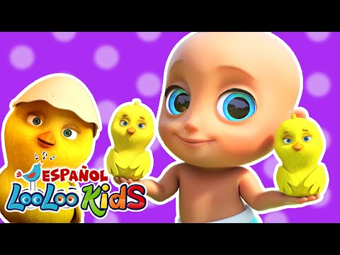 🎵 Las Mejores Canciones Infantiles en Español - Los Pollitos 🎶 | LooLoo Kids Español