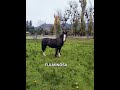 Vista previa en miniatura