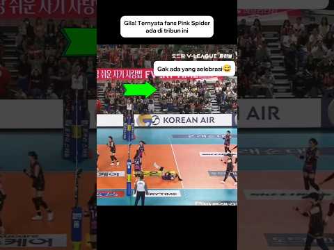 Ternyata Fans Pink Spider sampai rela beli tiket di tribun ini🤔 #megawatihangestri #volleyball