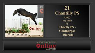 21. Chantilly PS