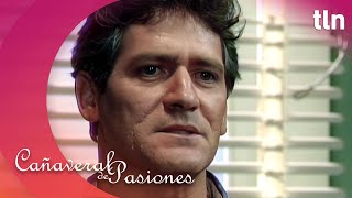 Fausto confirma que Dinorah lo engañó | Cañaveral de pasiones Capítulo 65 (parte 1) | tlnovelas
