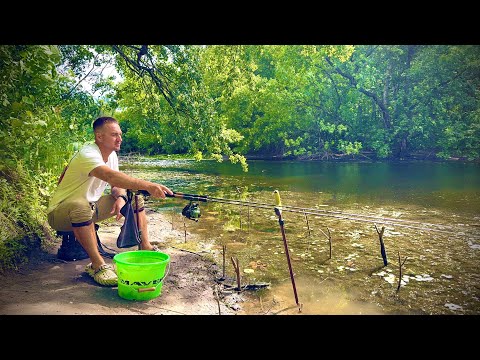 Снасть МІКРО ПРУЖИНА ЛОВИТЬ НА БОЛОТІ КАРАСІВ!!!