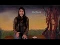 Meteorites and Their Characteristics