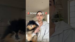 🚨 Mocha Pom crypto scam alert 🚨