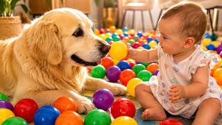 Baby Shares Ball Pit Fun with Her Golden Retriever