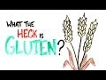 Gluten: Funções e Efeitos na Saúde