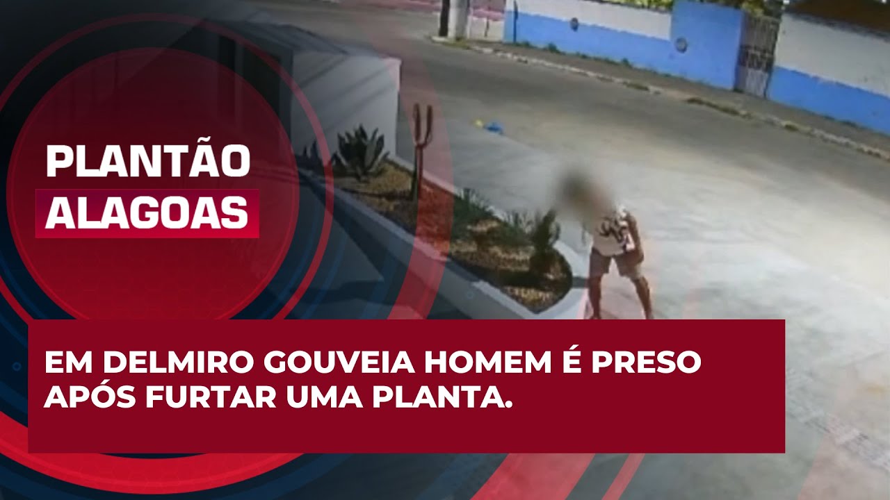 Em Delmiro Gouveia, homem &eacute; preso ap&oacute;s furtar uma planta