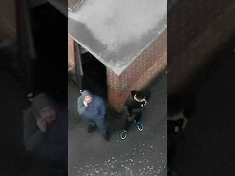 Multi-Million-Pound Cannabis Kingpin Arrested