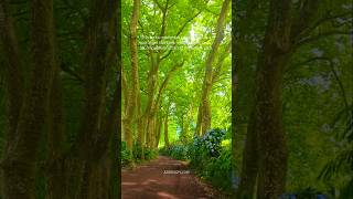 São Miguel BEYOND the tourist spots 🫣 #azores #travel