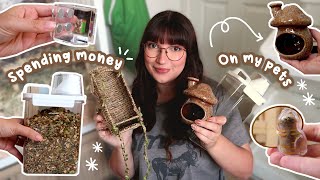 Buying things for my pets because it's cheaper than therapy