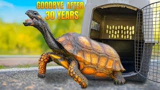 Owners Say Goodbye to Beloved Turtles After 30 Years! Most Exhausting Rescue Mission Ever. 