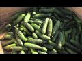 Food Safety Education and Practices