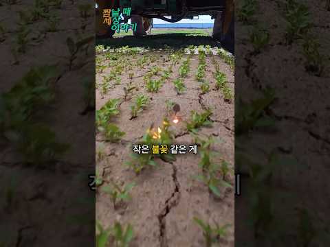 미국 농부들이 부러워지는 기계